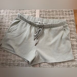 Light green z supply soft shorts